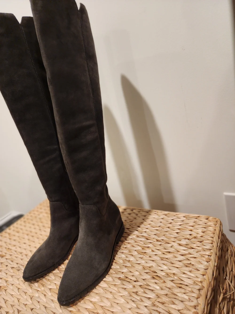 Original Ash Design- Jocelyn Hidden Wedge Suede Tall Shaft Boot (NWT) (Size 36)